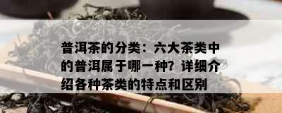 普洱茶的分类：六大茶类中的普洱属于哪一种？详细介绍各种茶类的特点和区别