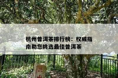 杭州普洱茶排行榜：权威指南助您挑选更佳普洱茶