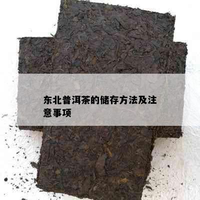 东北普洱茶的储存方法及注意事项