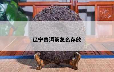 辽宁普洱茶怎么存放