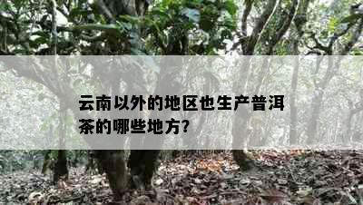 云南以外的地区也生产普洱茶的哪些地方？