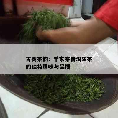 古树茶韵：千家寨普洱生茶的独特风味与品质