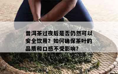 普洱茶过夜后是否仍然可以安全饮用？如何确保茶叶的品质和口感不受影响？