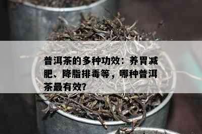 普洱茶的多种功效：养胃减肥、降脂排等，哪种普洱茶最有效？