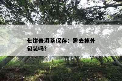 七饼普洱茶保存：需去掉外包装吗？