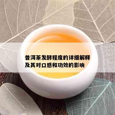 普洱茶发酵程度的详细解释及其对口感和功效的影响