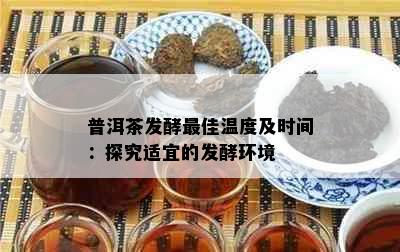 普洱茶发酵更佳温度及时间：探究适宜的发酵环境