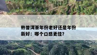 熟普洱茶年份老好还是年份新好：哪个口感更佳？