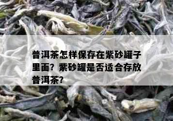 普洱茶怎样保存在紫砂罐子里面？紫砂罐是否适合存放普洱茶？