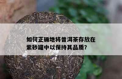 如何正确地将普洱茶存放在紫砂罐中以保持其品质？