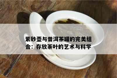 紫砂壶与普洱茶罐的完美组合：存放茶叶的艺术与科学