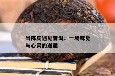 当陈皮遇见普洱：一场味觉与心灵的邂逅