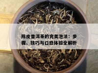 陈皮普洱茶的完美泡法：步骤、技巧与口感体验全解析