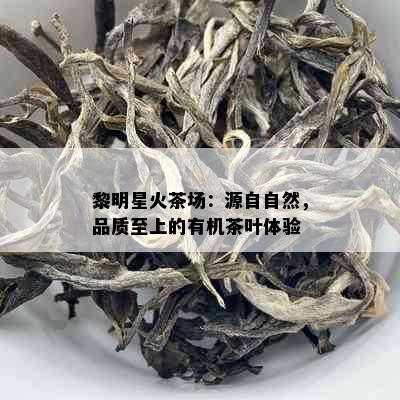 黎明星火茶场：源自自然，品质至上的有机茶叶体验