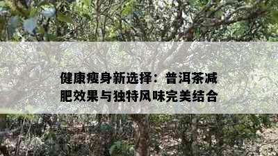 健康瘦身新选择：普洱茶减肥效果与独特风味完美结合