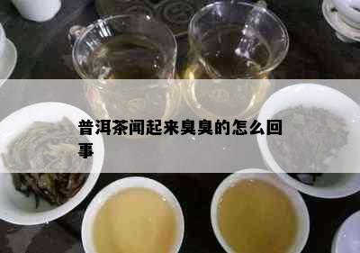 普洱茶闻起来臭臭的怎么回事