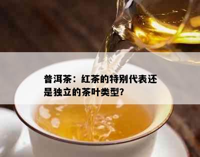 普洱茶：红茶的特别代表还是独立的茶叶类型？