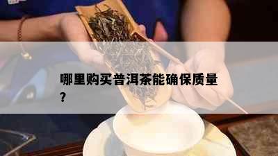 哪里购买普洱茶能确保质量？