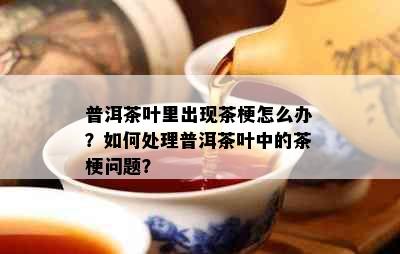 普洱茶叶里出现茶梗怎么办？如何处理普洱茶叶中的茶梗问题？