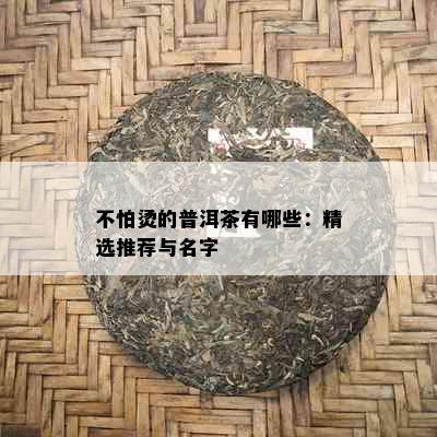 不怕烫的普洱茶有哪些：精选推荐与名字