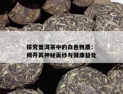 探究普洱茶中的白色物质：揭开其神秘面纱与健康益处