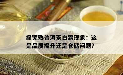 探究熟普洱茶白霜现象：这是品质提升还是仓储问题？