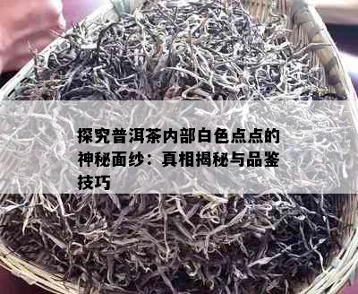 探究普洱茶内部白色点点的神秘面纱：真相揭秘与品鉴技巧