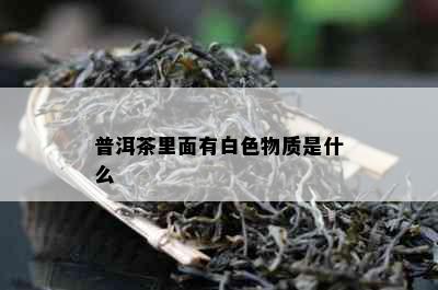 普洱茶里面有白色物质是什么