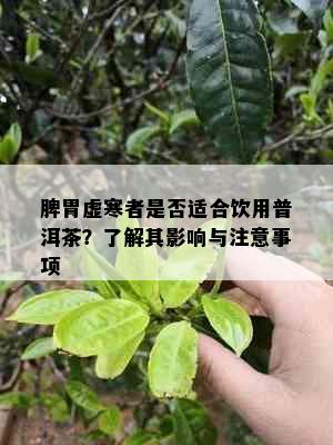 脾胃虚寒者是否适合饮用普洱茶？了解其影响与注意事项