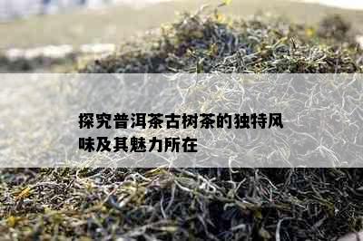 探究普洱茶古树茶的独特风味及其魅力所在