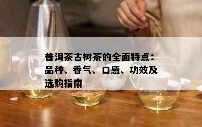 普洱茶古树茶的全面特点：品种、香气、口感、功效及选购指南