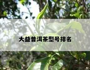 大益普洱茶型号排名