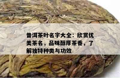 普洱茶叶名字大全：欣赏优美茶名，品味醇厚茶香，了解独特种类与功效