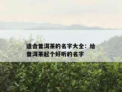 适合普洱茶的名字大全：给普洱茶起个好听的名字