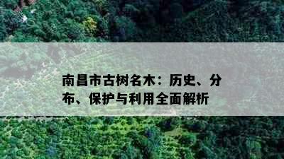 南昌市古树名木：历史、分布、保护与利用全面解析