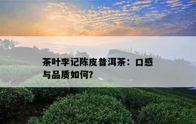 茶叶李记陈皮普洱茶：口感与品质如何？