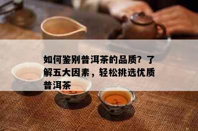 如何鉴别普洱茶的品质？了解五大因素，轻松挑选优质普洱茶