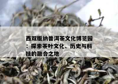 西双版纳普洱茶文化博览园：探索茶叶文化、历史与科技的融合之地