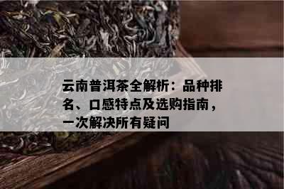 云南普洱茶全解析：品种排名、口感特点及选购指南，一次解决所有疑问