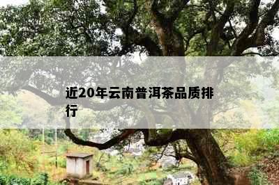 近20年云南普洱茶品质排行