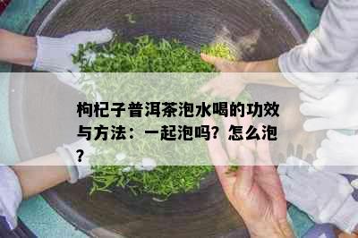 枸杞子普洱茶泡水喝的功效与方法：一起泡吗？怎么泡？