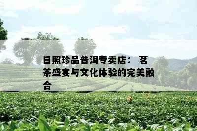 日照珍品普洱专卖店： 茗茶盛宴与文化体验的完美融合