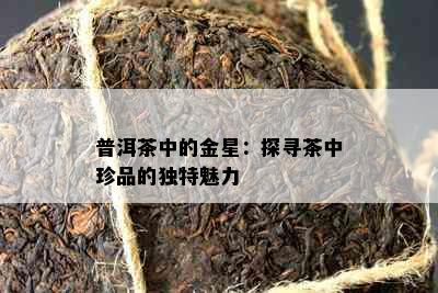 普洱茶中的金星：探寻茶中珍品的独特魅力