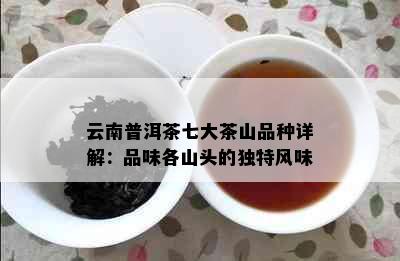 云南普洱茶七大茶山品种详解：品味各山头的独特风味