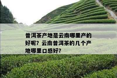 普洱茶产地是云南哪里产的好呢？云南普洱茶的几个产地哪里口感好？