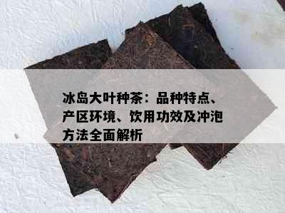 冰岛大叶种茶：品种特点、产区环境、饮用功效及冲泡方法全面解析