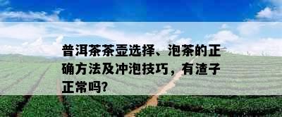 普洱茶茶壶选择、泡茶的正确方法及冲泡技巧，有渣子正常吗？