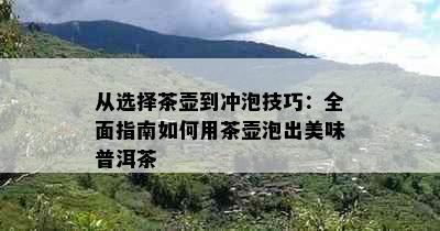 从选择茶壶到冲泡技巧：全面指南如何用茶壶泡出美味普洱茶