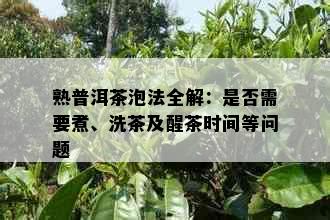 熟普洱茶泡法全解：是否需要煮、洗茶及醒茶时间等问题