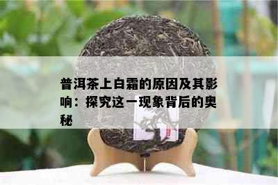 普洱茶上白霜的原因及其影响：探究这一现象背后的奥秘